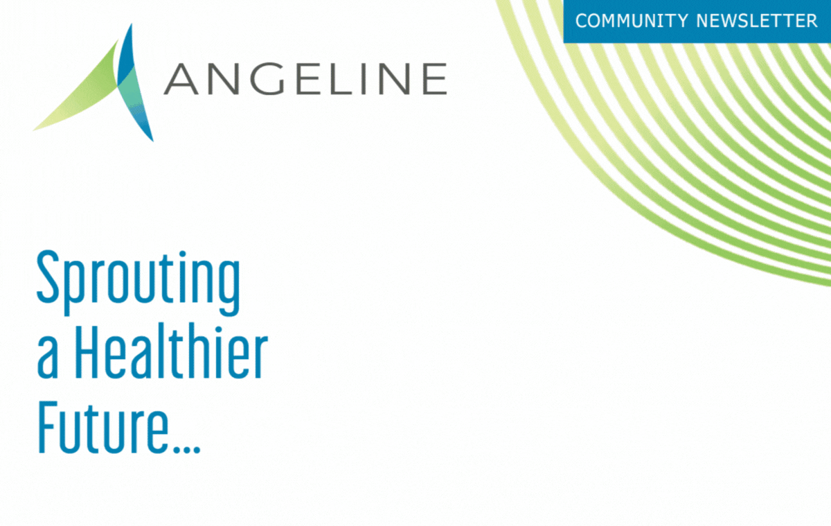 Angeline Q2 Newsletter - Header 1200 x 759