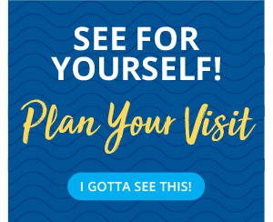 Plan-your-Visit-CTA